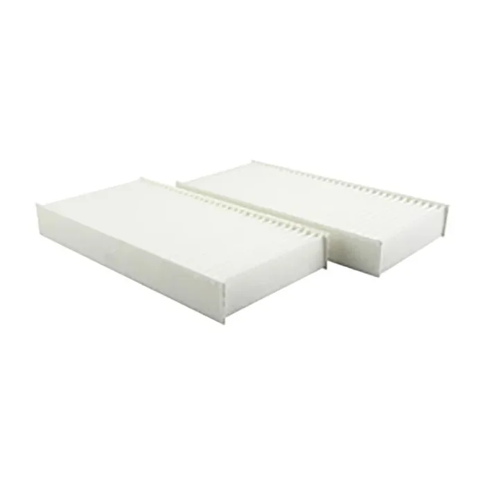 Baldwin PA4195 KIT Set of 2 Cabin Air Elements