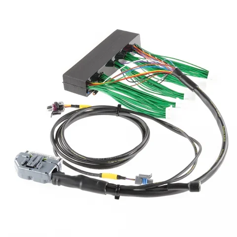 Boomslang Plug-and-Play Harness Kit for AEM EMS-4 | 1983-1987 Toyota Levin AE86 (BF14062)