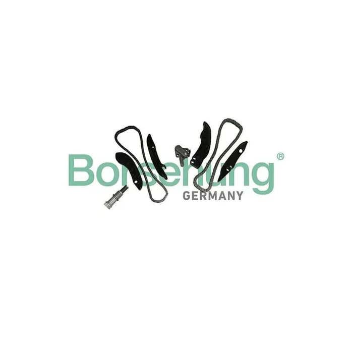 Borsehung B10202 Timing Chain Kit