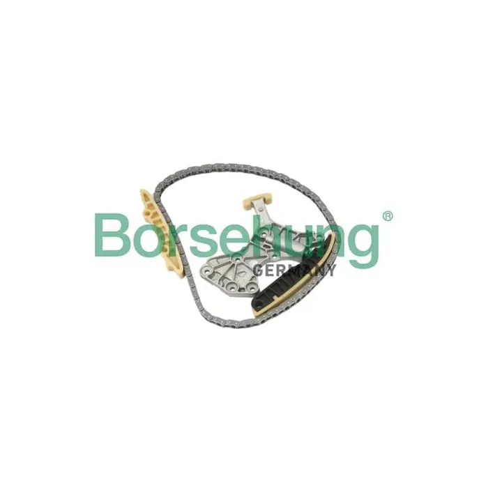 Borsehung B10205 Timing Chain Kit