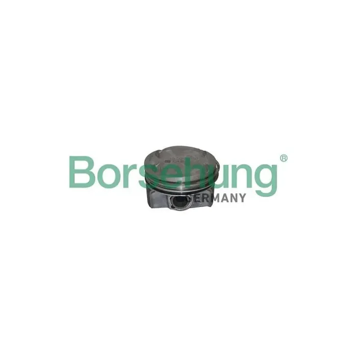 Borsehung B11135 Piston for Audi A1
