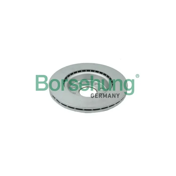 Borsehung B11376 Brake Disc