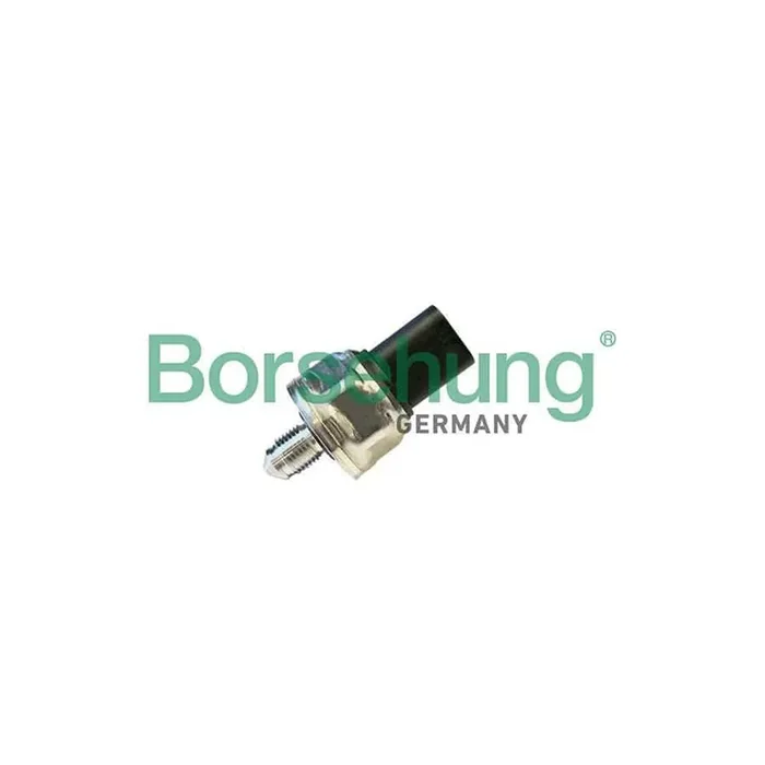 Borsehung B11869 Fuel Pressure Sensor for Audi A4