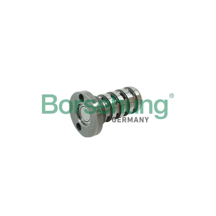 Borsehung B12123 Central Valve, Camshaft Adjustment