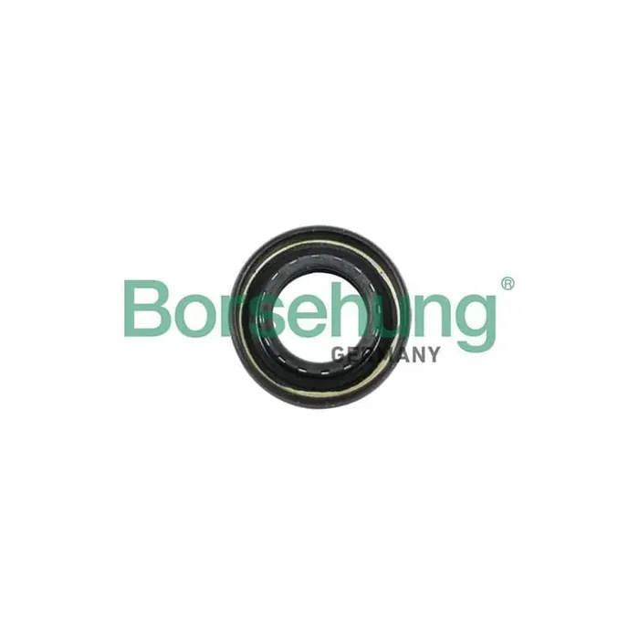 Borsehung B12194 Shaft Seal, Manual Transmission
