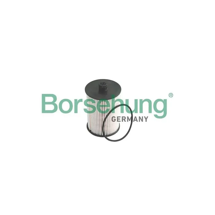 Borsehung B12199 Fuel Filter for VW Lt