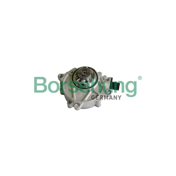 Borsehung B12222 Brake Vacuum Pump