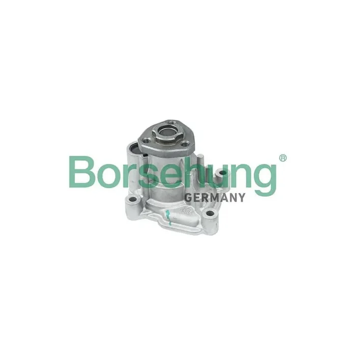 Borsehung B12696 Water Pump for VW Jetta Mk6 (162, 163, Av3, Av2)