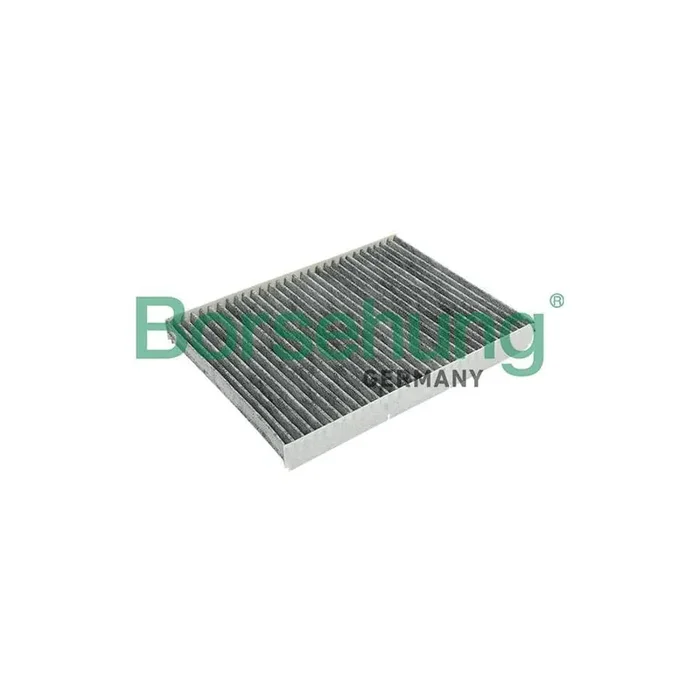 Borsehung B12796 Pollen Filter