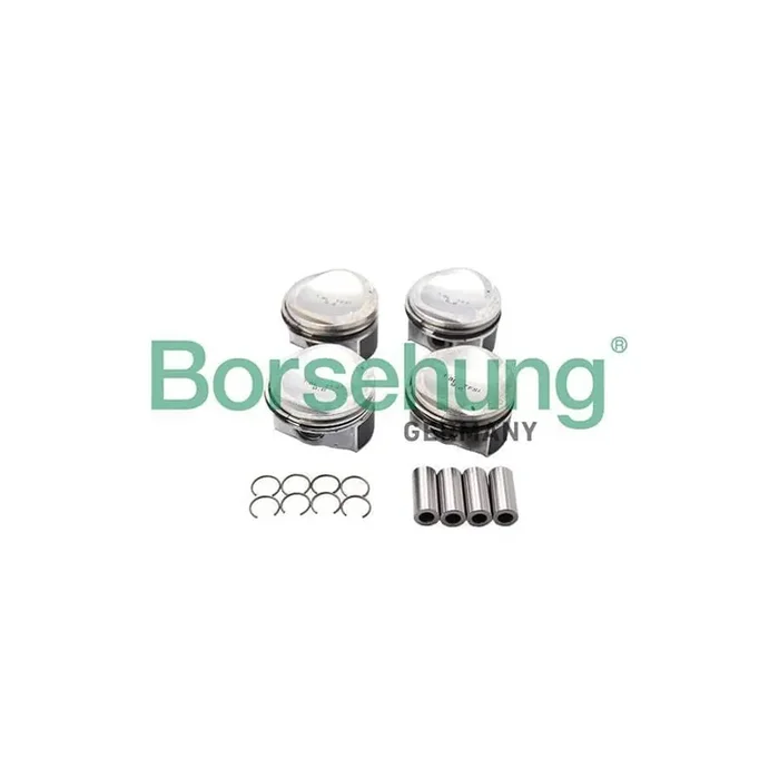 Borsehung B13582 Piston Ring Kit