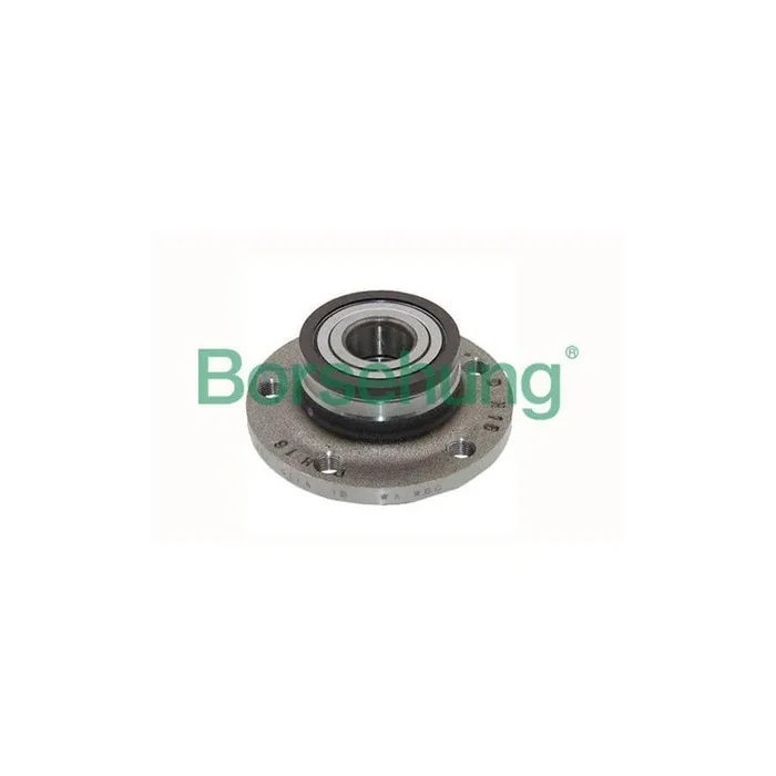 Borsehung B15621 Wheel Bearing Kit
