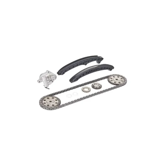 Borsehung B16296 Timing Chain Kit