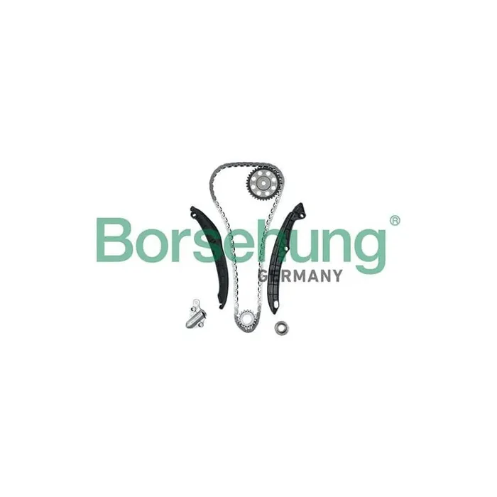 Borsehung B16299 Timing Chain Kit