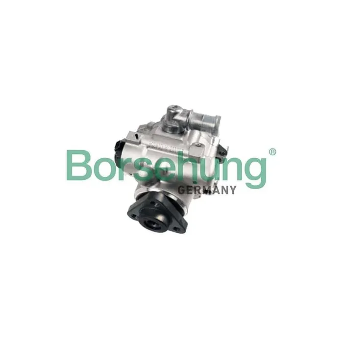 Borsehung B18225 Power Steering Pump for Audi A4