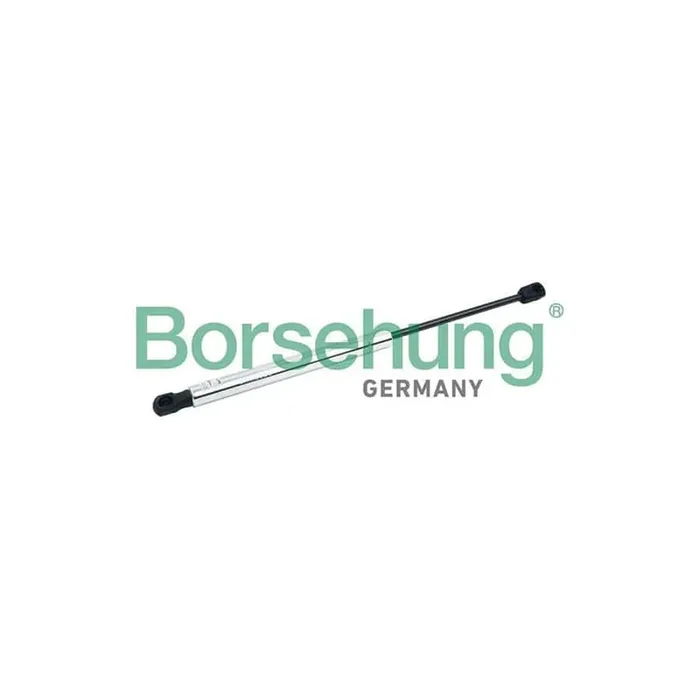Borsehung B18449 Tailgate Strut for Audi A8 D3 (4E2, 4E8)