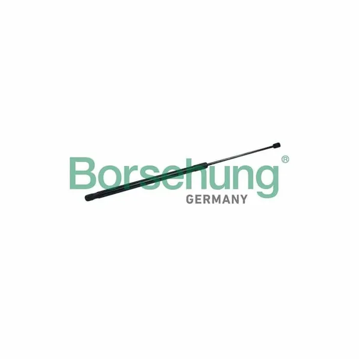 Borsehung B18452 Bonnet Strut for VW Touareg II (7P5, 7P6)