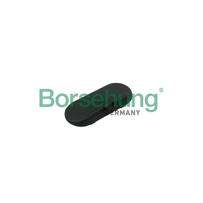 Borsehung B18496 Windscreen Washer Jet for Audi A6