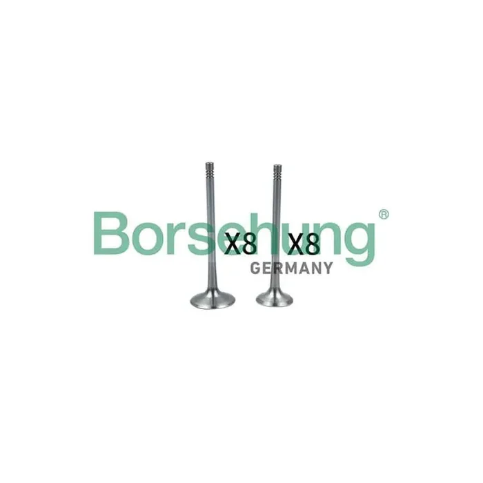 Borsehung B18637 Inlet Valve