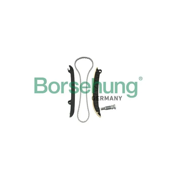 Borsehung B18843 Timing Chain Kit