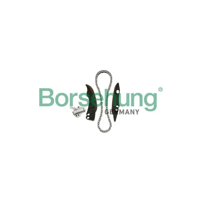 Borsehung B18853 Timing Chain Kit