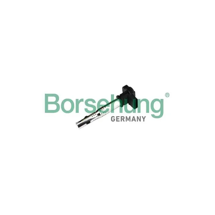 Borsehung B18972 Ignition Coil for VW Golf VI Convertible (517)