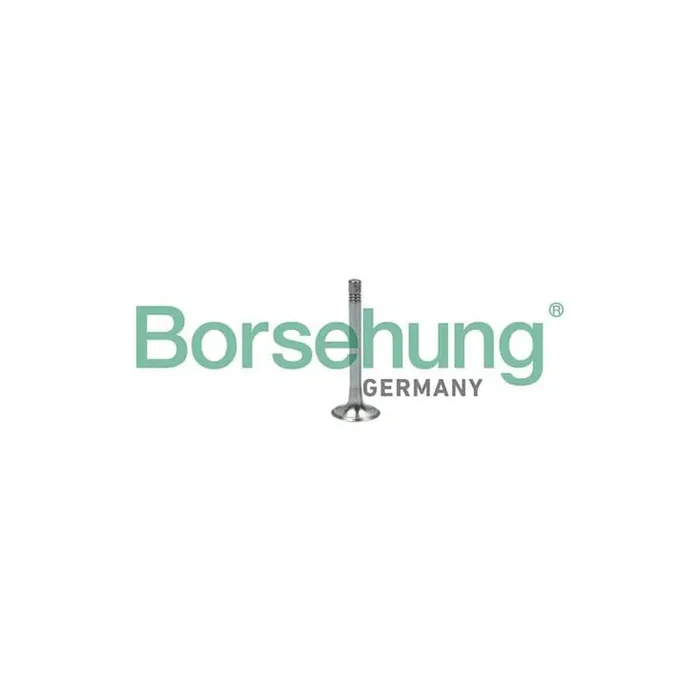 Borsehung B18999 Exhaust Valve