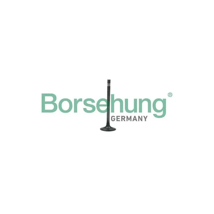 Borsehung B19006 Exhaust Valve