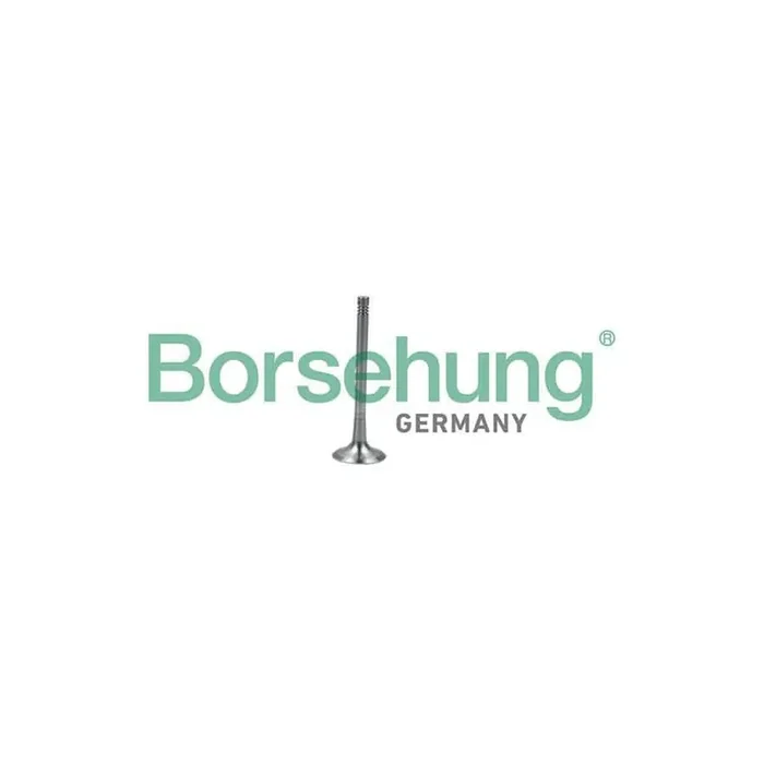 Borsehung B19011 Exhaust Valve