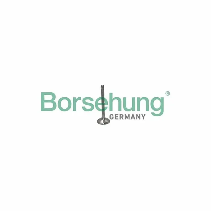 Borsehung B19012 Exhaust Valve