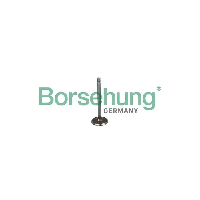 Borsehung B19016 Inlet Valve