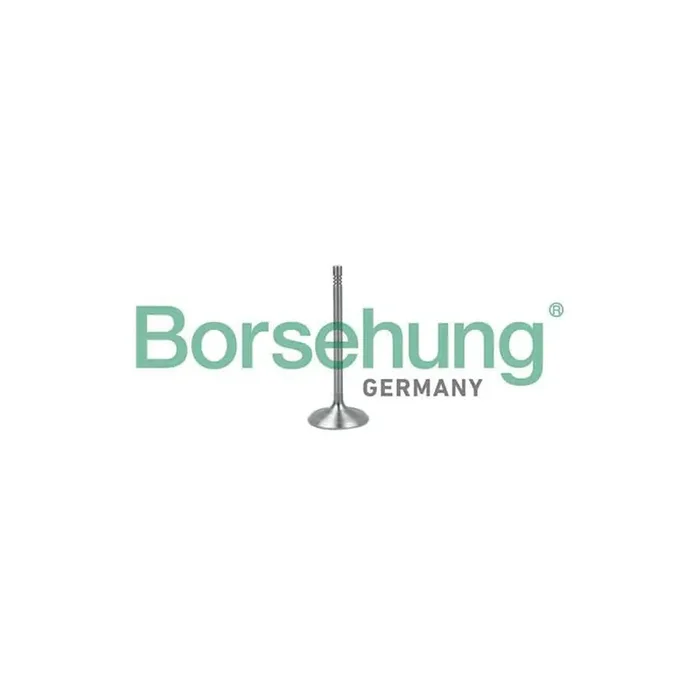 Borsehung B19017 Inlet Valve