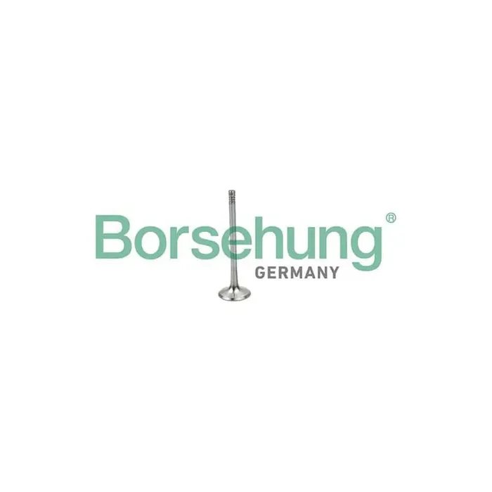 Borsehung B19025 Inlet Valve