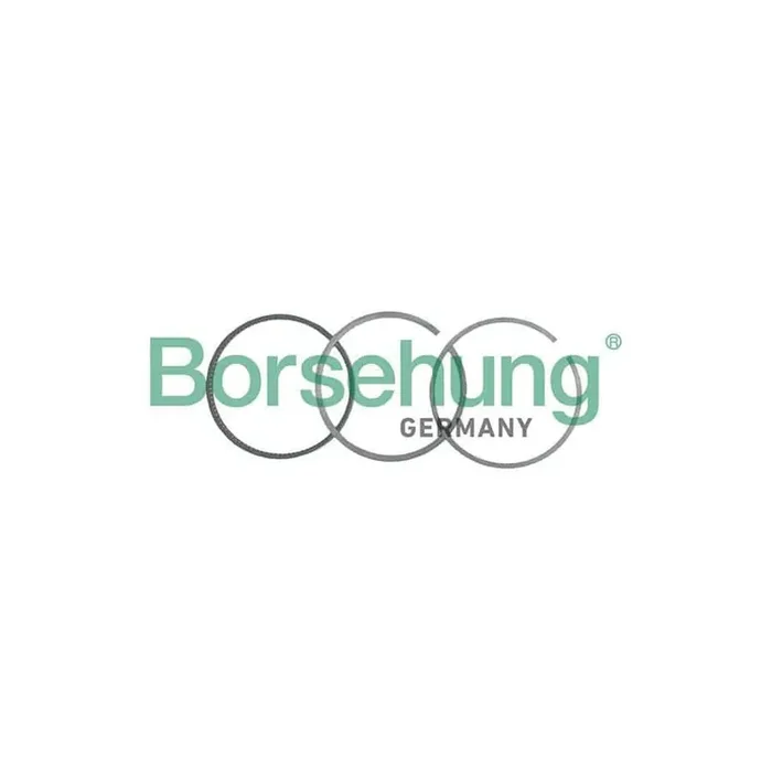 Borsehung B19036 Piston Ring Kit