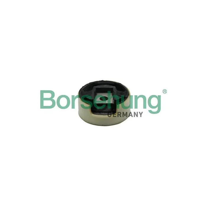 Borsehung B19108 Engine Mount for VW Passat