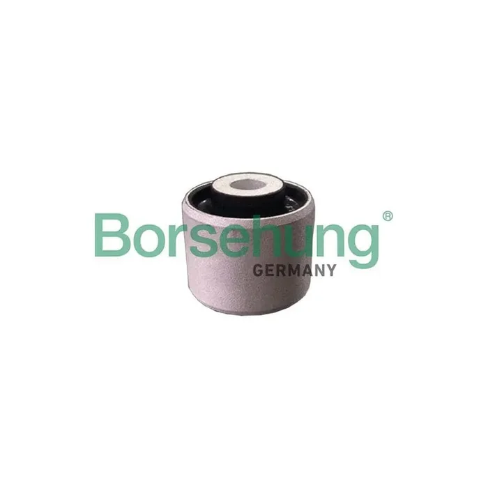 Borsehung B19112 Control Arm- / Trailing Arm Bush for Audi A4