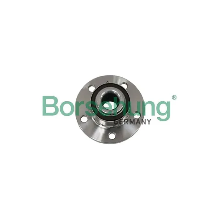 Borsehung B19117 Wheel Bearing Kit