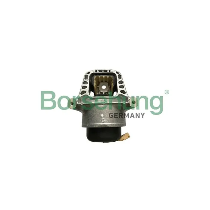 Borsehung B19133 Engine Mount for Audi A4
