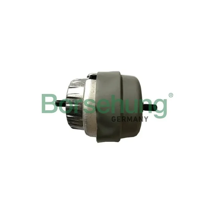 Borsehung B19136 Engine Mount for Audi A6