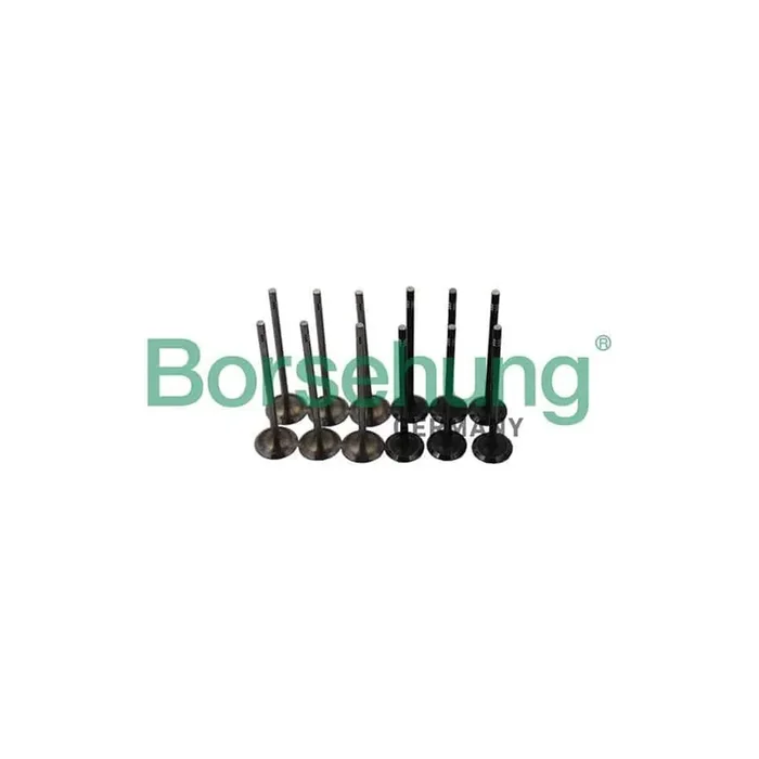 Borsehung B19160 Inlet Valve