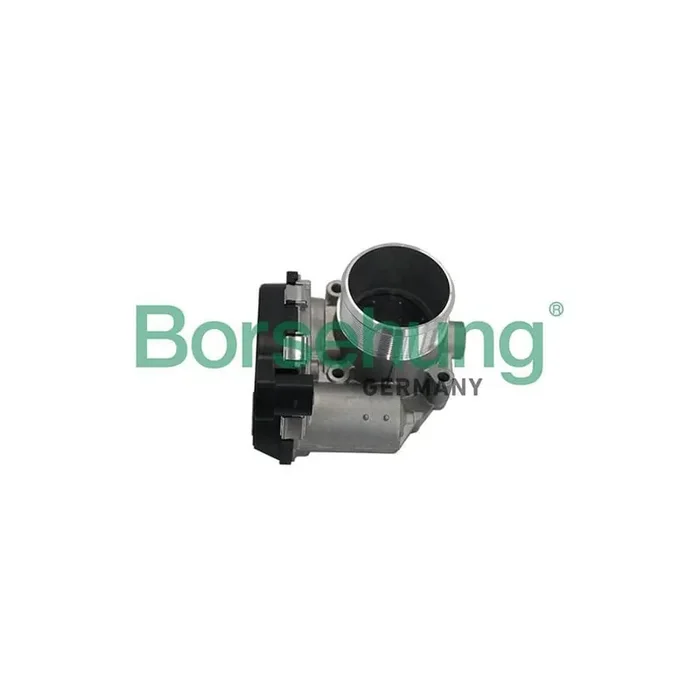 Borsehung B19171 Throttle Body