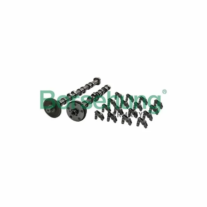 Borsehung B19173 Camshaft Kit