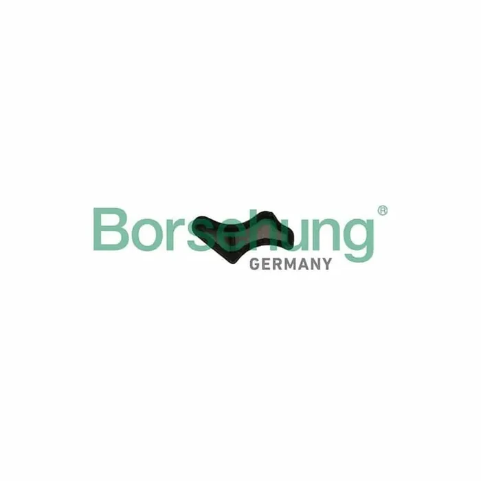 Borsehung B19179 Strainer, Oil Pump Suction Pipe
