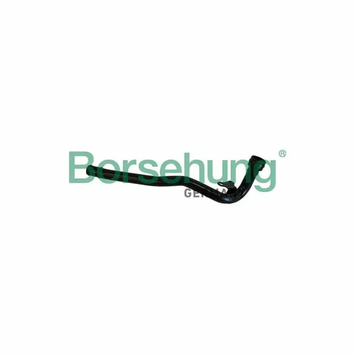 Borsehung B19220 Coolant Tube