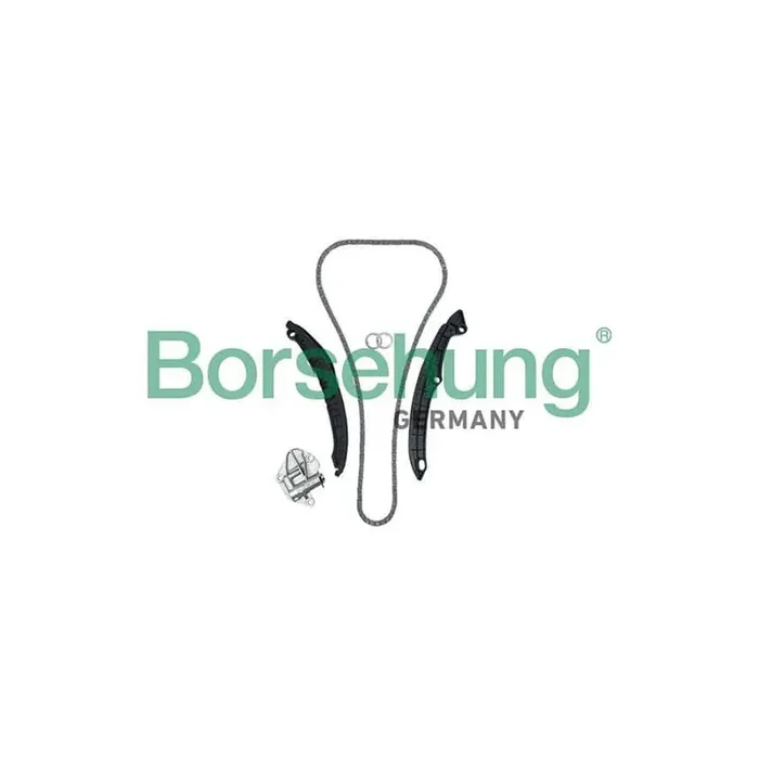 Borsehung B19229 Timing Chain Kit