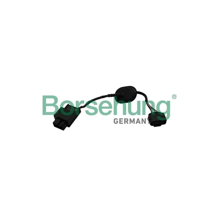 Borsehung B19230 Control Unit, Fuel Pump