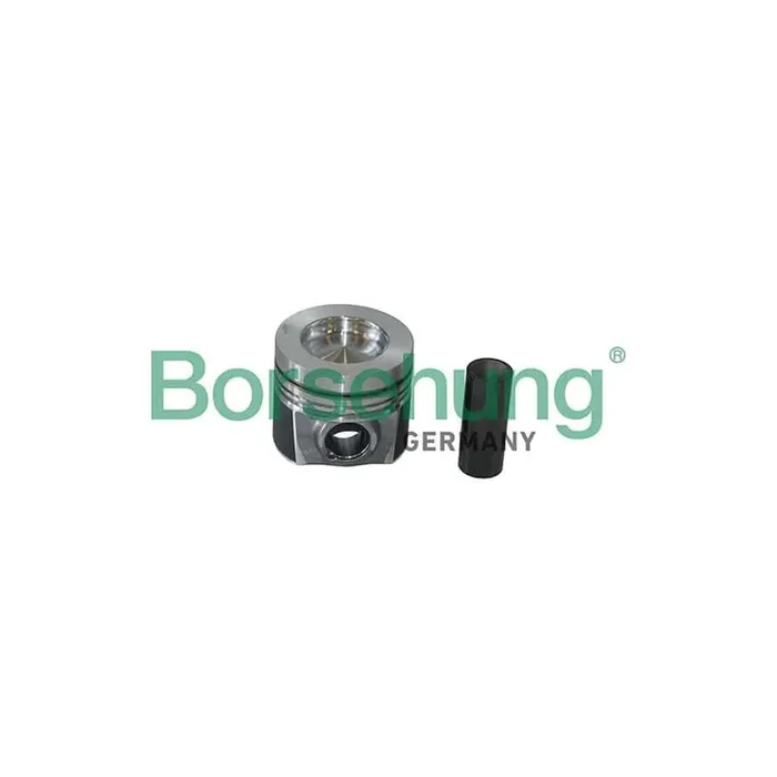 Borsehung B19298 Piston Ring Kit