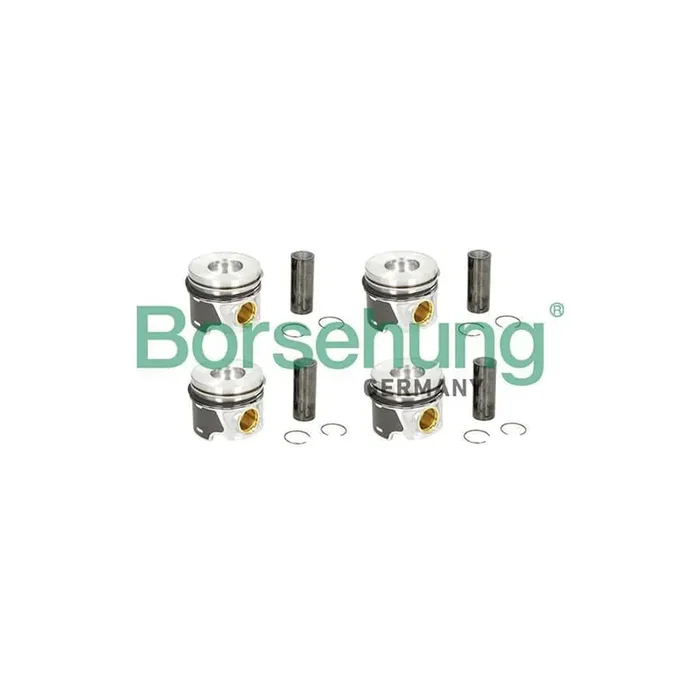 Borsehung B19303 Piston Ring Kit