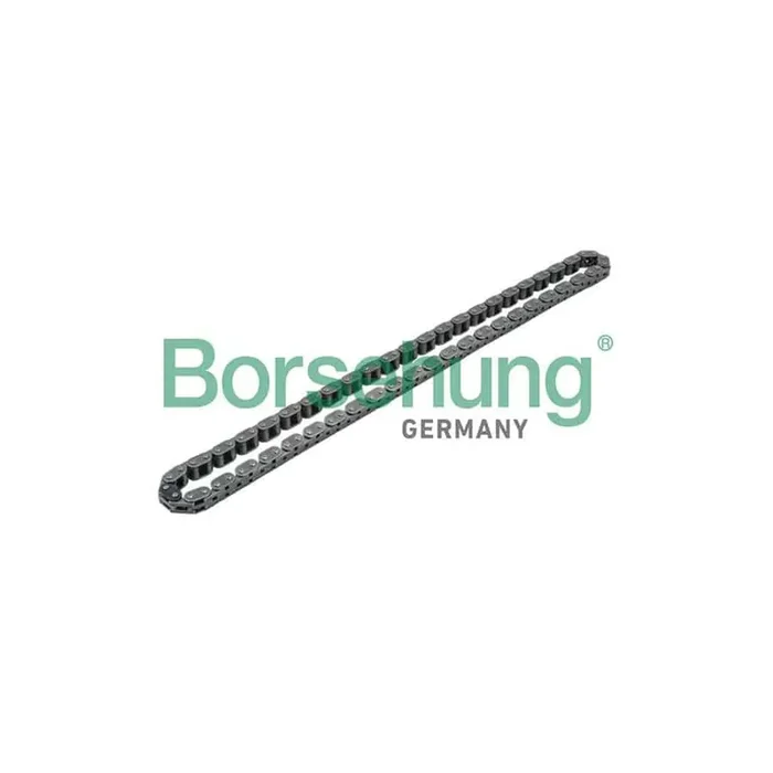 Borsehung B1C002 Timing Chain