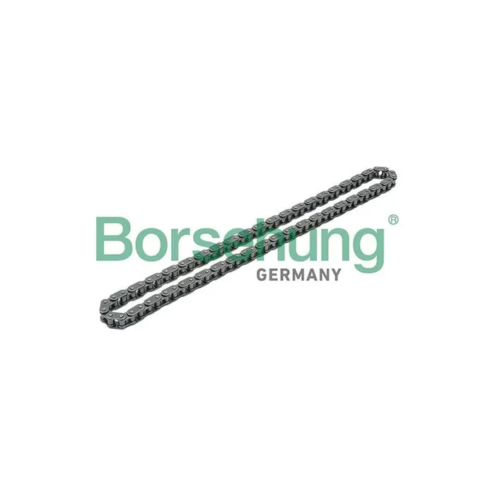 Borsehung B1C010 Timing Chain