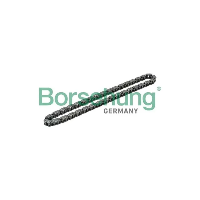 Borsehung B1C018 Timing Chain